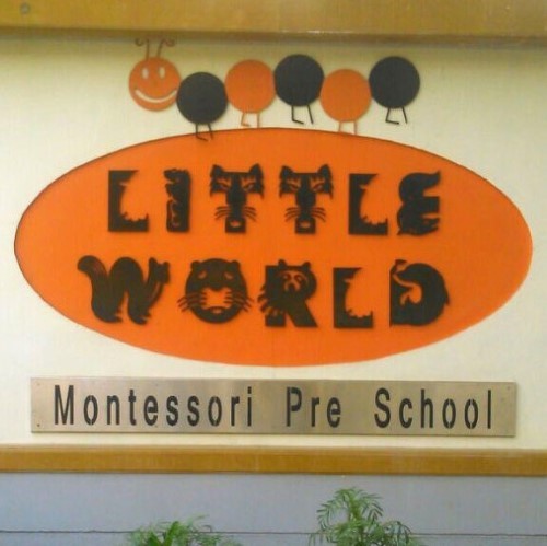 Little World School