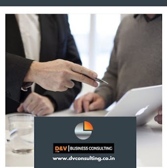 D&V Business Consulting