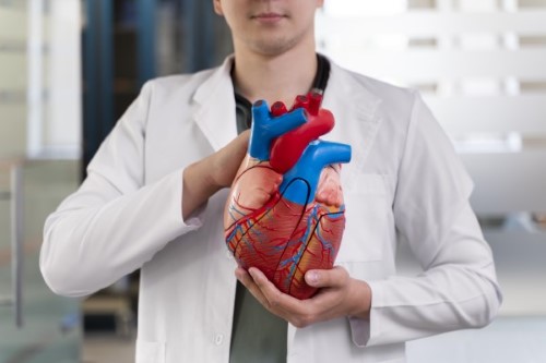 Cardiologists doctors
